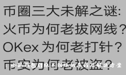 : 小狐钱包转账不到账的原因及解决方案