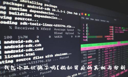 钱包小狐被骗了吗？揭秘背后的真相与分析