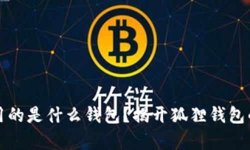 半只狐狸用的是什么钱包？揭开狐狸钱包的神秘面纱