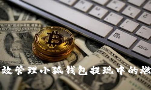 如何有效管理小狐钱包提现中的燃料需求