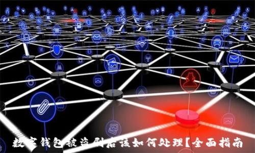   
数字钱包被盗刷后该如何处理？全面指南