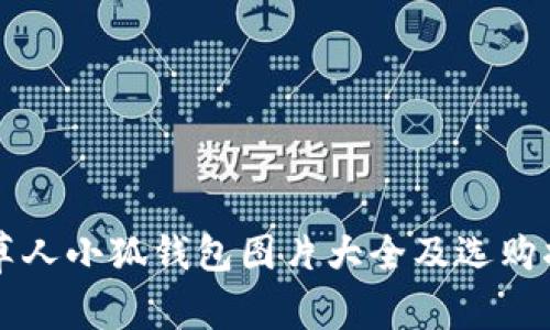稻草人小狐钱包图片大全及选购指南