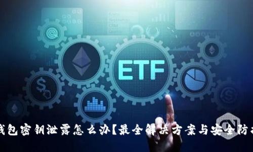 小狐钱包密钥泄露怎么办？最全解决方案与安全防护指南