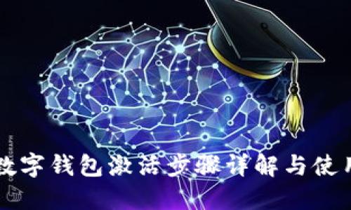 华为数字钱包激活步骤详解与使用指南