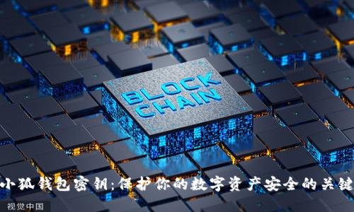 小狐钱包密钥：保护你的数字资产安全的关键
