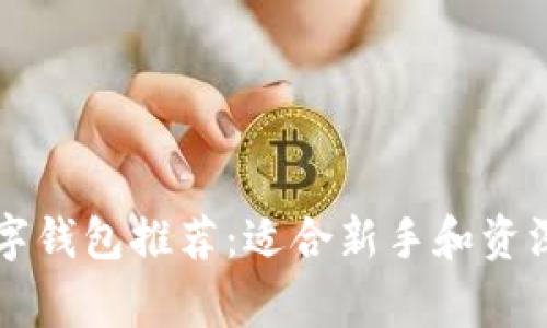 常用的区块链数字钱包推荐：适合新手和资深用户的全面指南