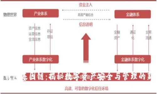 小狐钱包基因链：揭秘数字资产安全与管理的新纪元
