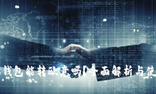 的小狐钱包能转欧意吗？全面解析与使用指南