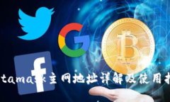 Metamask主网地址详解及使用指南