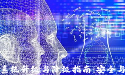
数字钱包系统升级与降级指南：安全与便捷并重