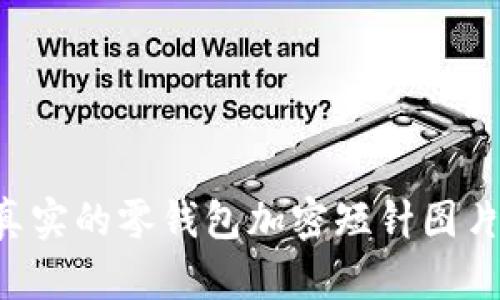 如何识别真实的零钱包加密短针图片：专业指南