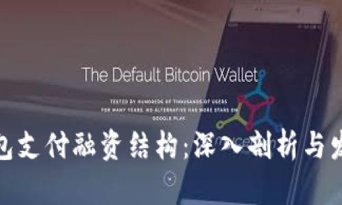 数字钱包支付融资结构：深入剖析与发展前景