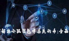 如何解决小狐钱包中丢失的币：全面指南