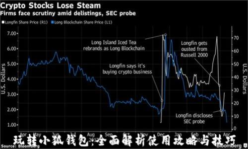 
玩转小狐钱包：全面解析使用攻略与技巧