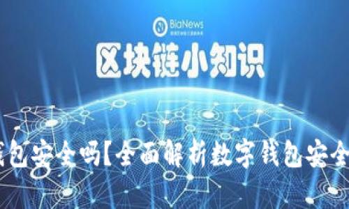 上海58数字钱包安全吗？全面解析数字钱包安全性与使用技巧