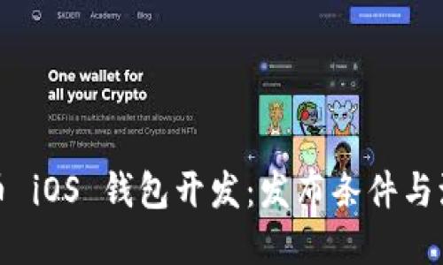 加密货币 iOS 钱包开发：发布条件与流程详解