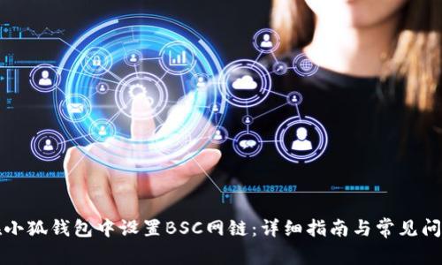 如何在小狐钱包中设置BSC网链：详细指南与常见问题解答