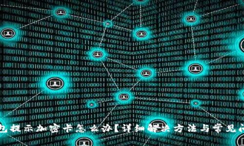 三星钱包提示加密卡怎么办？详细解决方法与常见问题解析