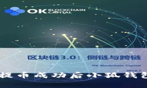 如何解决Core提币成功后小狐钱包未收到的问题