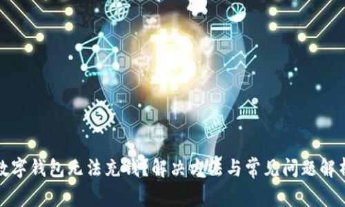 数字钱包无法充钱？解决方法与常见问题解析