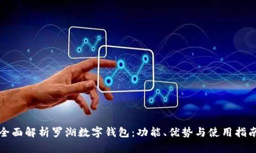全面解析罗湖数字钱包：功能、优势与使用指南