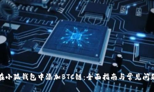 如何在小狐钱包中添加BTC链：全面指南与常见问题解答