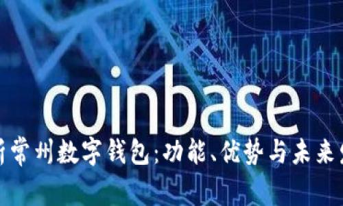 全面解析常州数字钱包：功能、优势与未来发展趋势