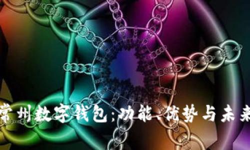 全面解析常州数字钱包：功能、优势与未来发展趋势