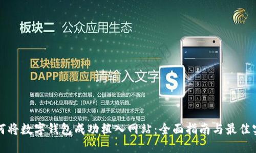 如何将数字钱包成功植入网站：全面指南与最佳实践