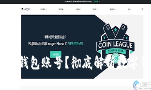 :如何查看数字钱包账号？彻底解析数字钱包使用指南