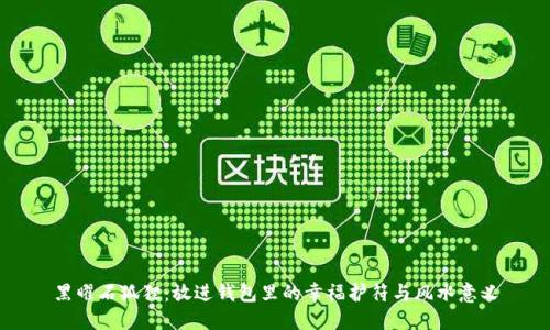 黑曜石狐狸：放进钱包里的幸福护符与风水意义