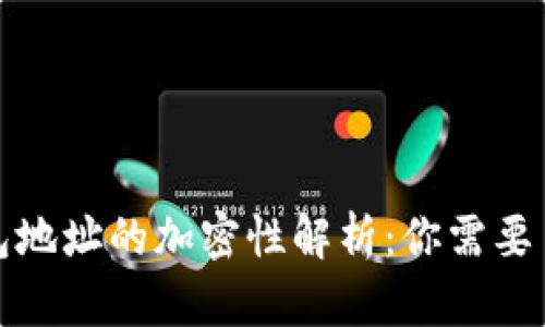 火线币钱包地址的加密性解析：你需要了解的一切