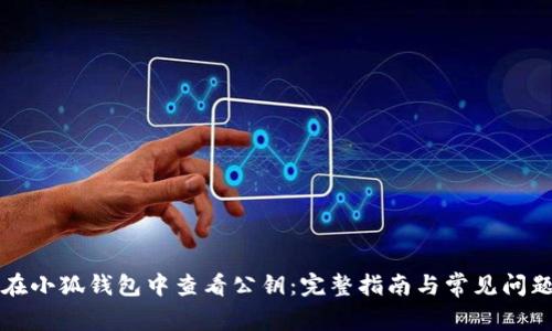 如何在小狐钱包中查看公钥：完整指南与常见问题解析