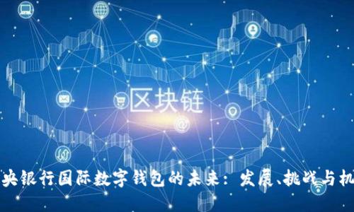 中央银行国际数字钱包的未来: 发展、挑战与机遇