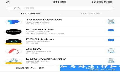 : 如何在小狐钱包中添加马蹄币：详细设置指南