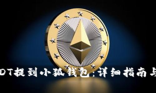 如何将USDT提到小狐钱包：详细指南与注意事项