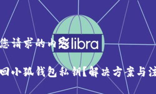 以下是您请求的内容：

如何找回小狐钱包私钥？解决方案与注意事项