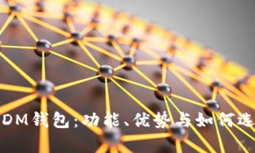 全面解析区块链DM钱包：功能、优势与如何选择适合你的钱包