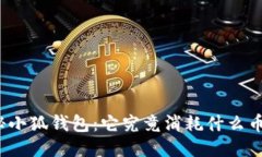 探秘小狐钱包：它究竟消