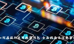 如何在国外使用数字钱包：全面指南与注意事项