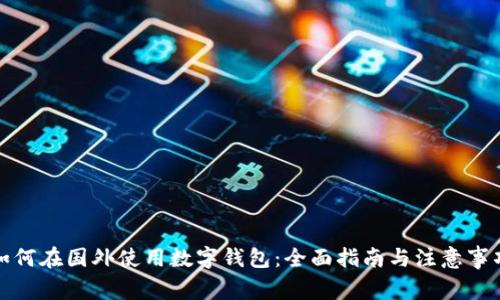 如何在国外使用数字钱包：全面指南与注意事项