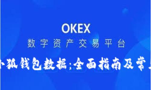 如何导入小狐钱包数据：全面指南及常见问题解答