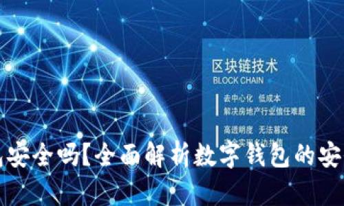 钱转到数字钱包安全吗？全面解析数字钱包的安全性与防护技巧