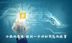 小狐的奇遇：捡到一个神秘钱包的故事