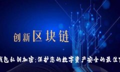 TP钱包私钥加密：保护您的数字资产安全的最佳实