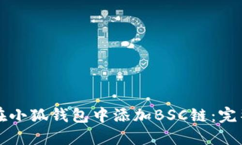 如何在小狐钱包中添加BSC链：完整指南
