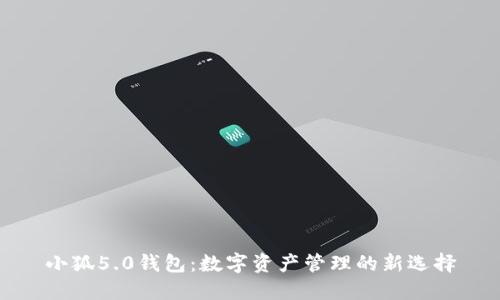 小狐5.0钱包：数字资产管理的新选择