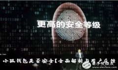 小狐钱包是否安全？全面解析与用户反馈