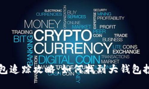 区块链大钱包追踪攻略：如何找到大钱包投资者的秘密