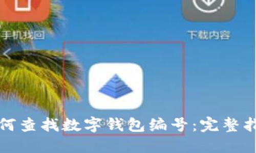 如何查找数字钱包编号：完整指南